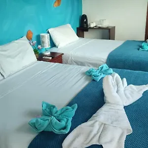 Puerto Ayora Island פורטו איורה